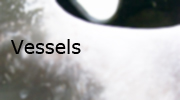 vessels button